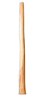 Earl Clements Didgeridoo (EC486)